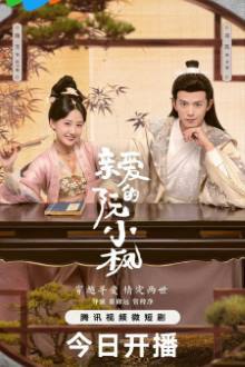 Ruan Xiaofeng’s Royal Love Quest (2025)